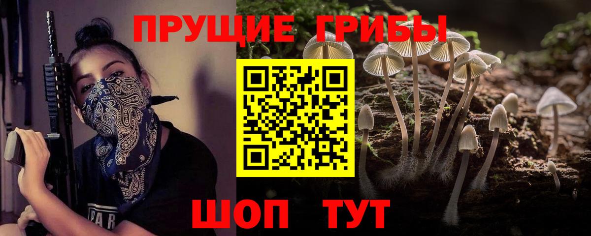 Галлюциногенные грибы мухоморы Краснокаменск