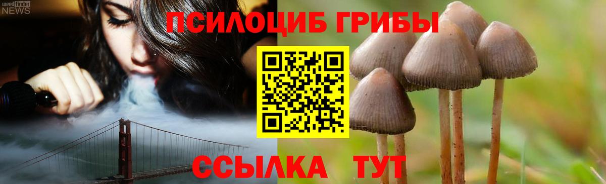 Галлюциногенные грибы Cubensis  Галлюциногенные грибы Cubensis  Вход с VPN  продажа наркотиков  Краснокаменск 